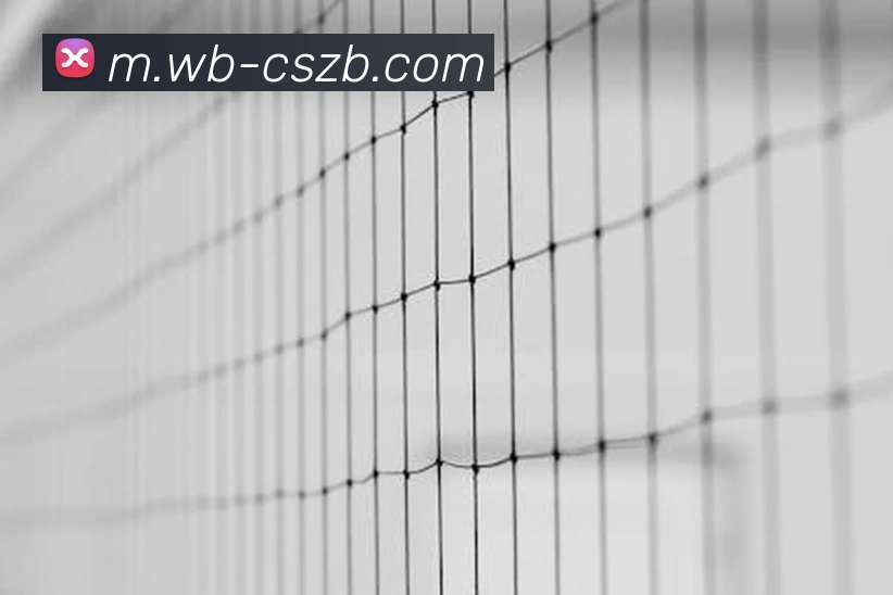 彩神争霸平台生态图